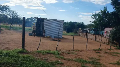 Drimiopsis community houses