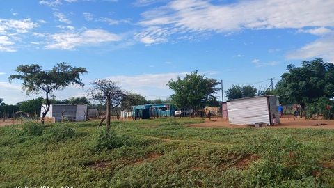 Houses in Drimiopsis